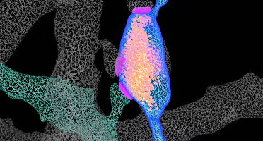 project-presentation-img