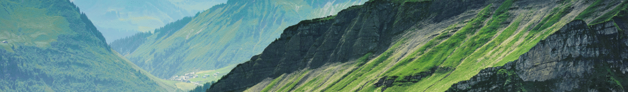 User Banner