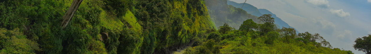 User Banner