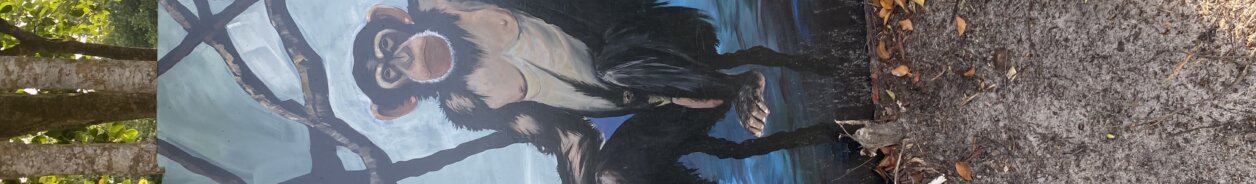User Banner